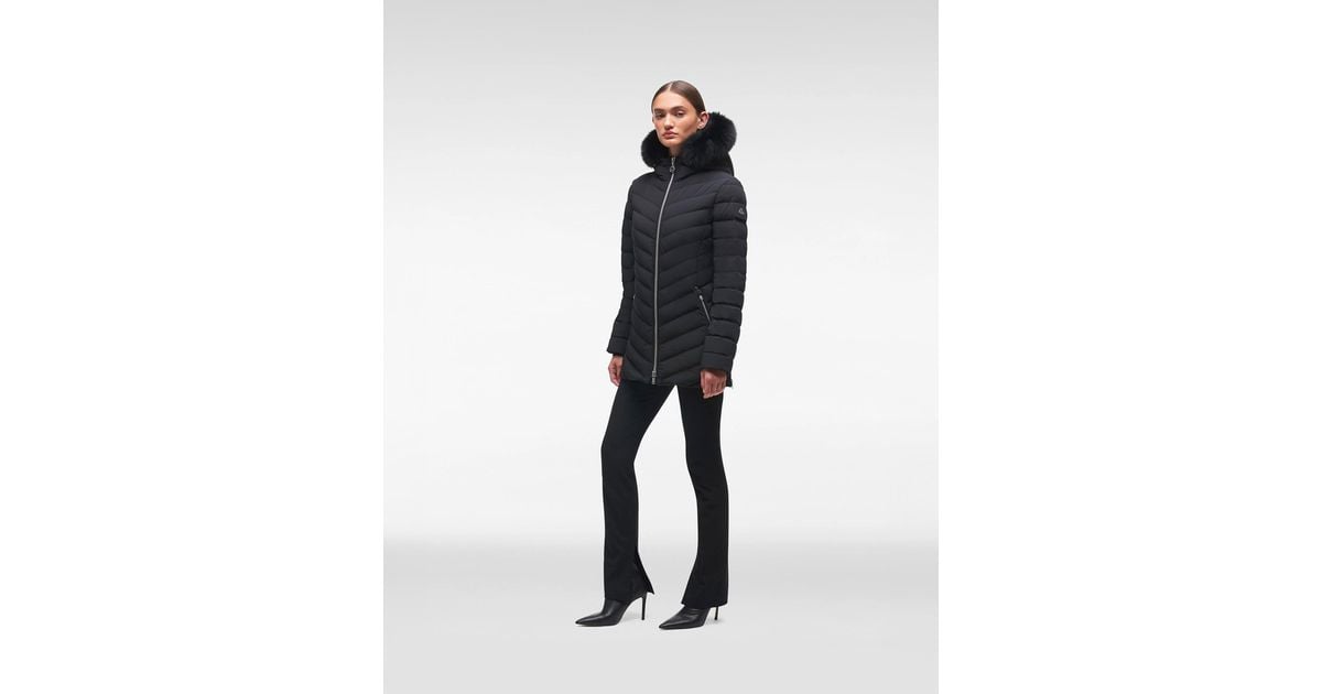 Moose knuckles store roselawn jacket