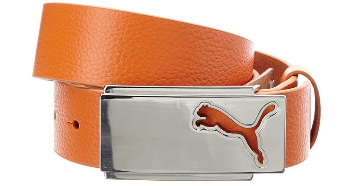puma belts for mens