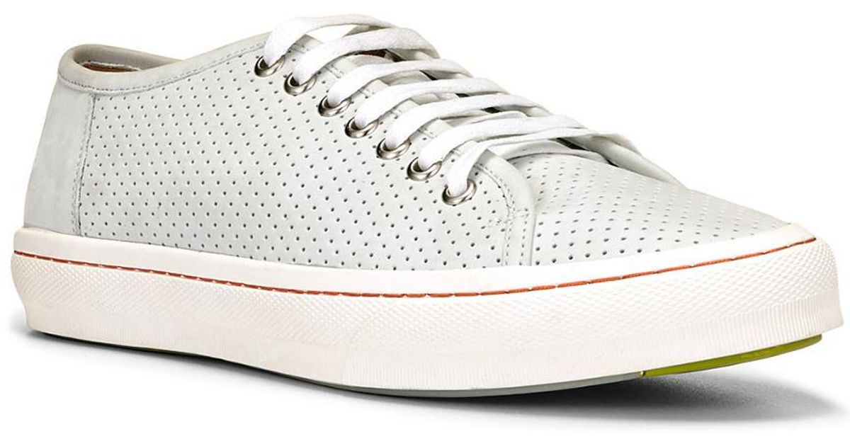 donald pliner dan sneaker