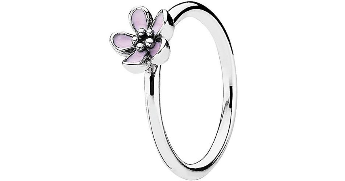 PANDORA Jewelry Daisy Signet Silver Enamel Ring in Metallic - Lyst