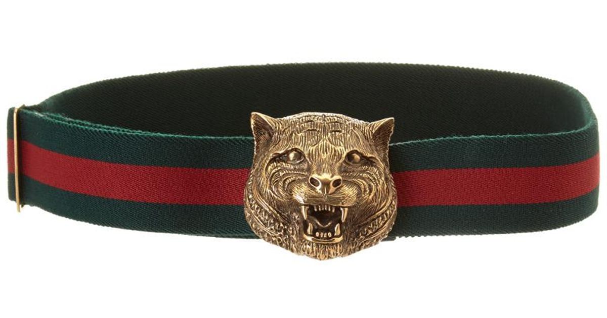 gucci belt cat