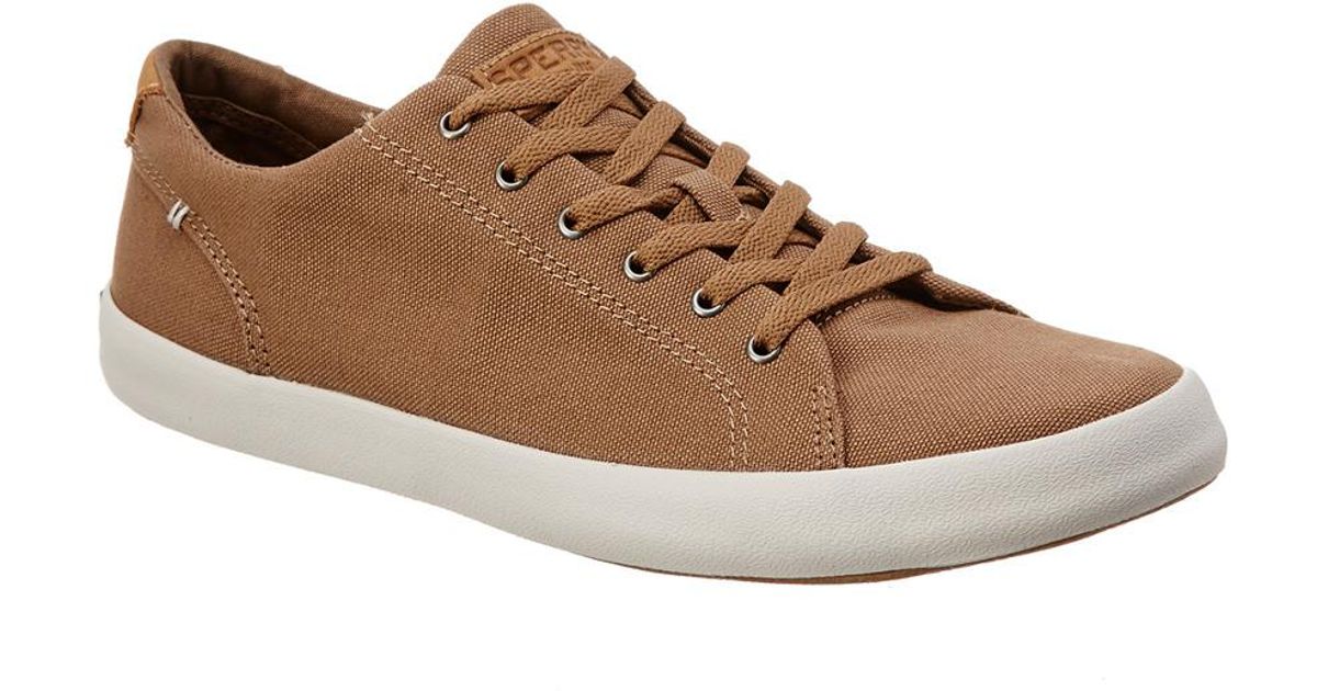 Wahoo Canvas Shoe in Brown for Men - Lyst