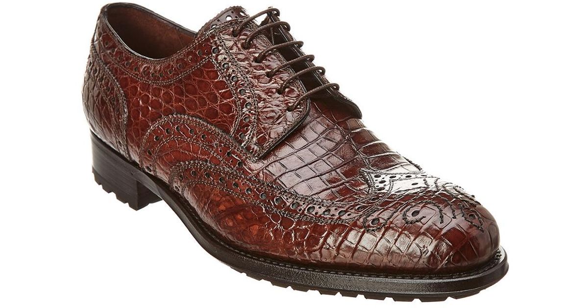 Caporicci Alligator Leather Wingtip Oxford in Brown for Men 