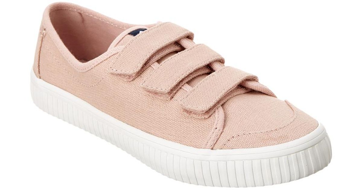 sperry crest creeper
