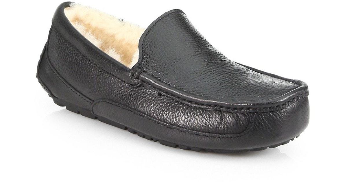 ascot uggpure