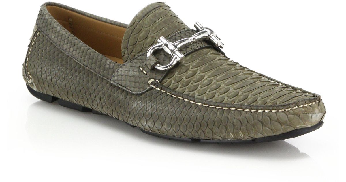 Ferragamo Exotic Parigi Python Drivers 