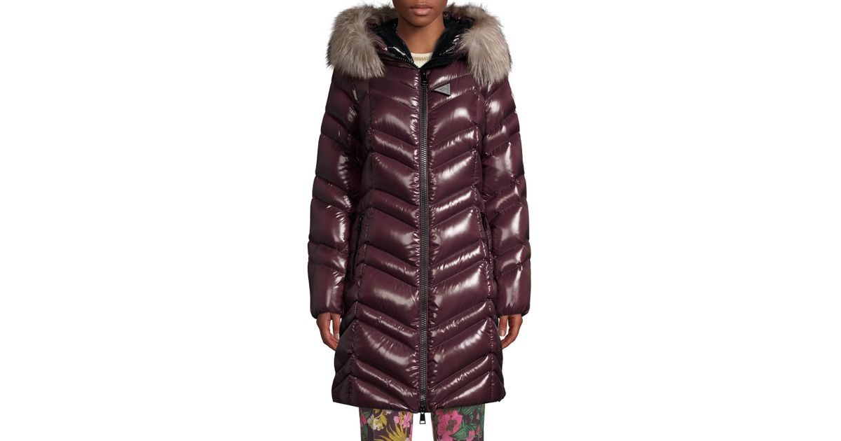 moncler fulmar navy