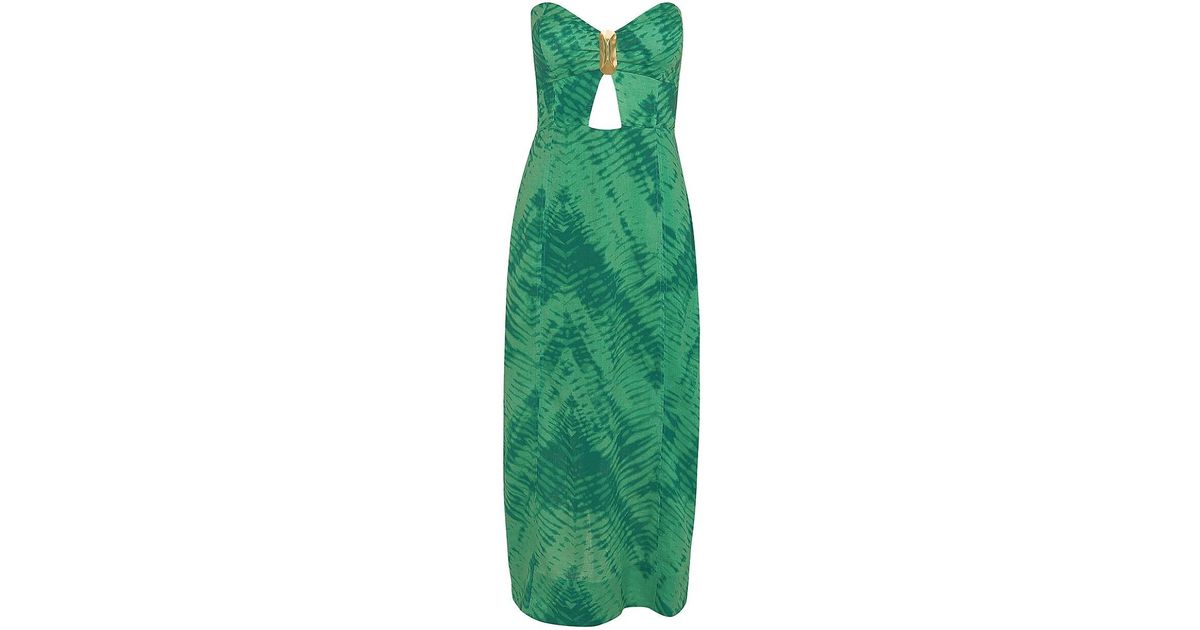 ViX Tamale Cactus Lizzy Maxi Dress in Green | Lyst