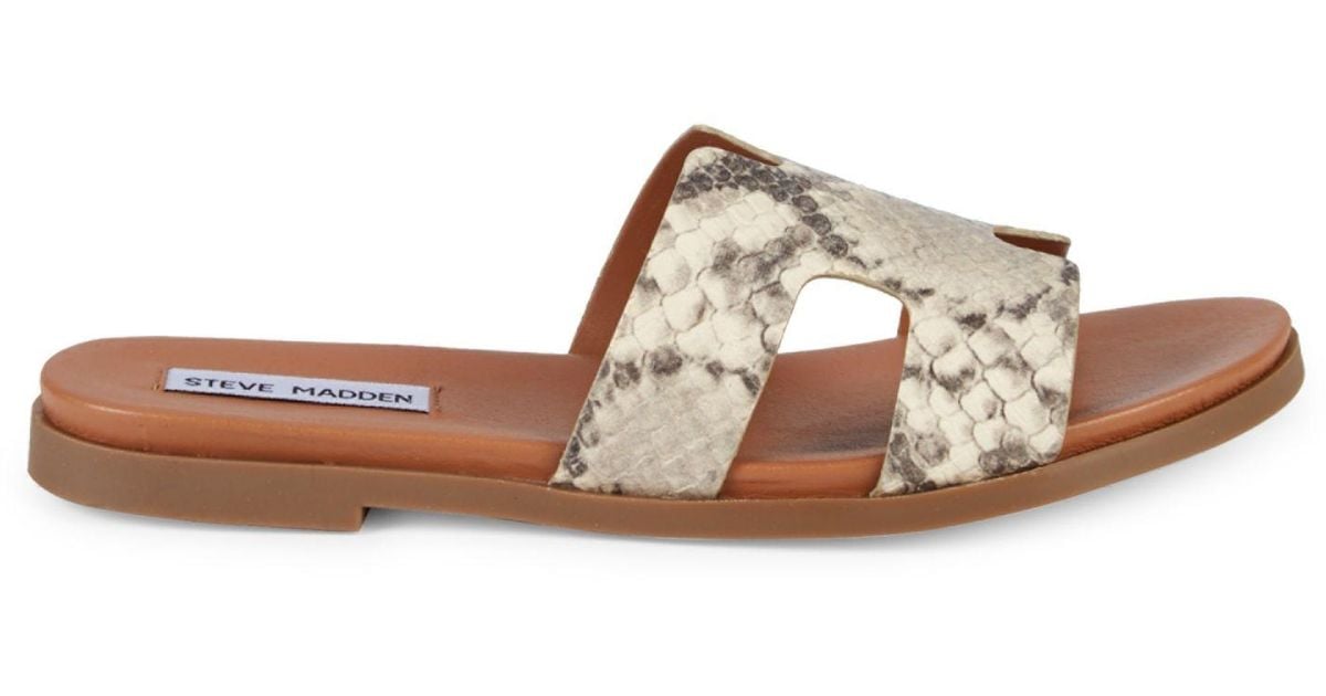 steve madden women's dariella