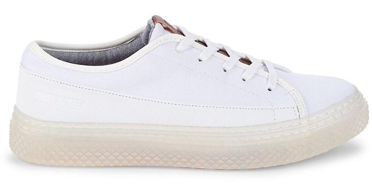 steve madden keds