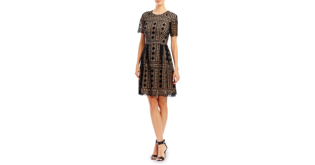 Lyst Nicole Miller Mesh And Lace Embroidered Dress In Black