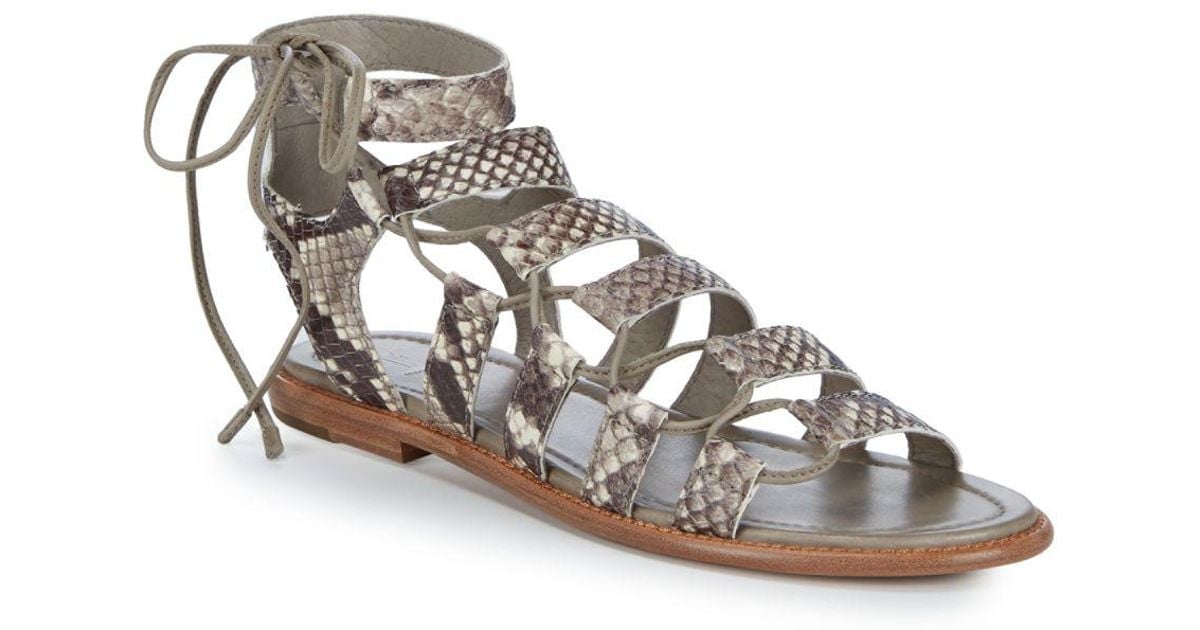 frye heather gladiator