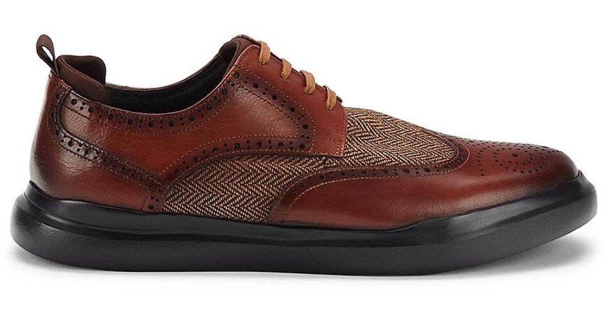 zanzara roman brogue derby