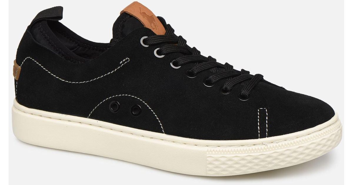 polo dunovin leather sneaker
