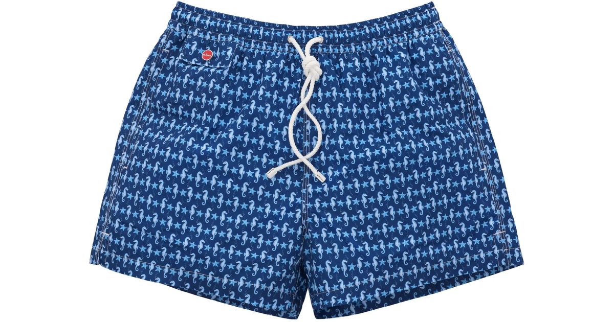Kiton Marine Life Swim Shorts in Blue for Men | Lyst