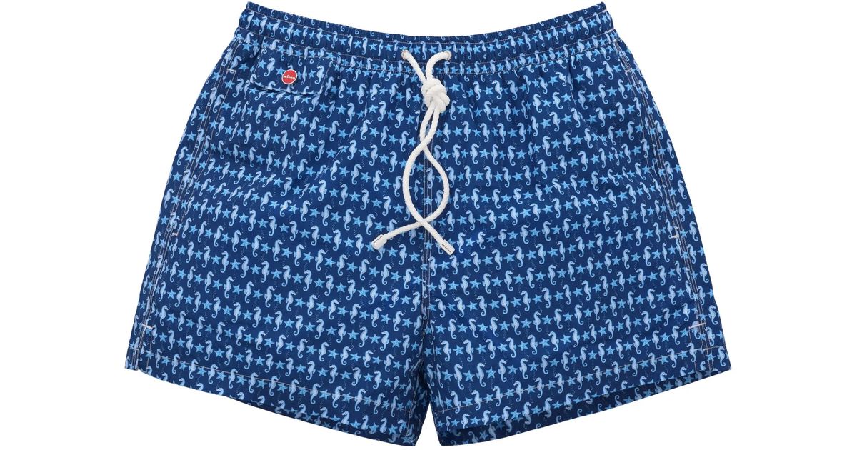 Kiton Marine Life Swim Shorts in Blue for Men Lyst