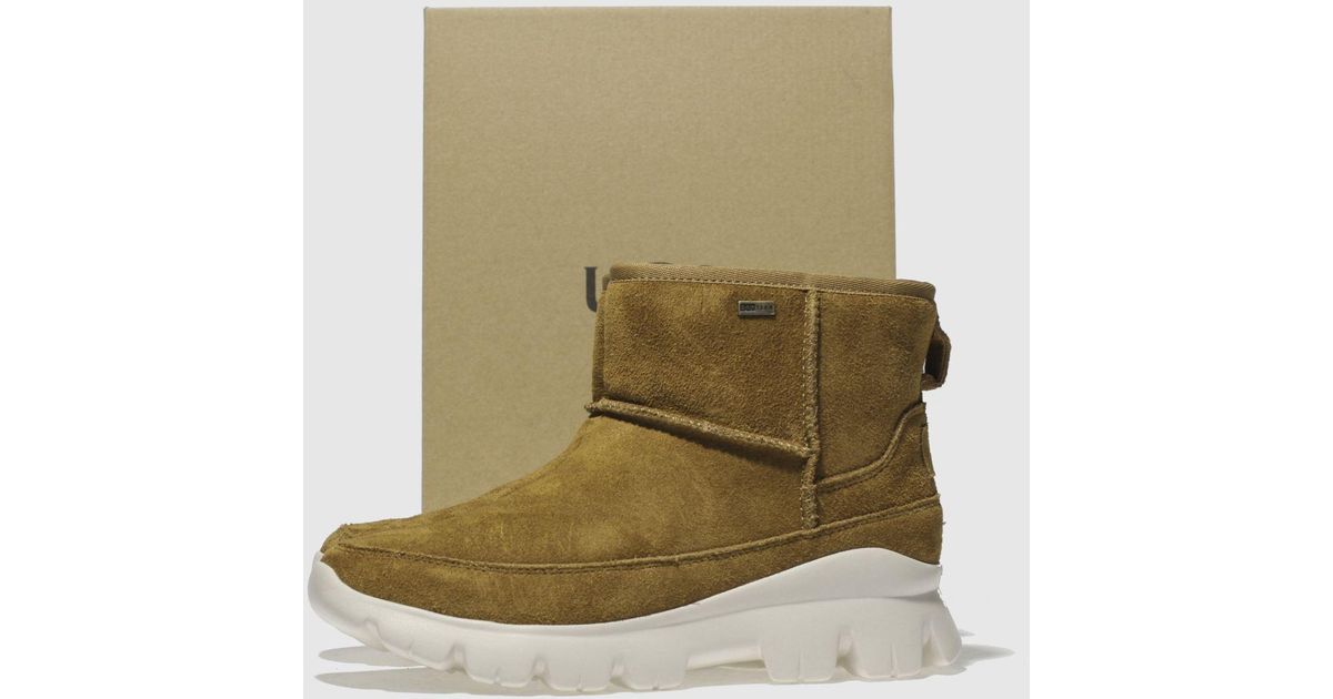ugg palomar boots