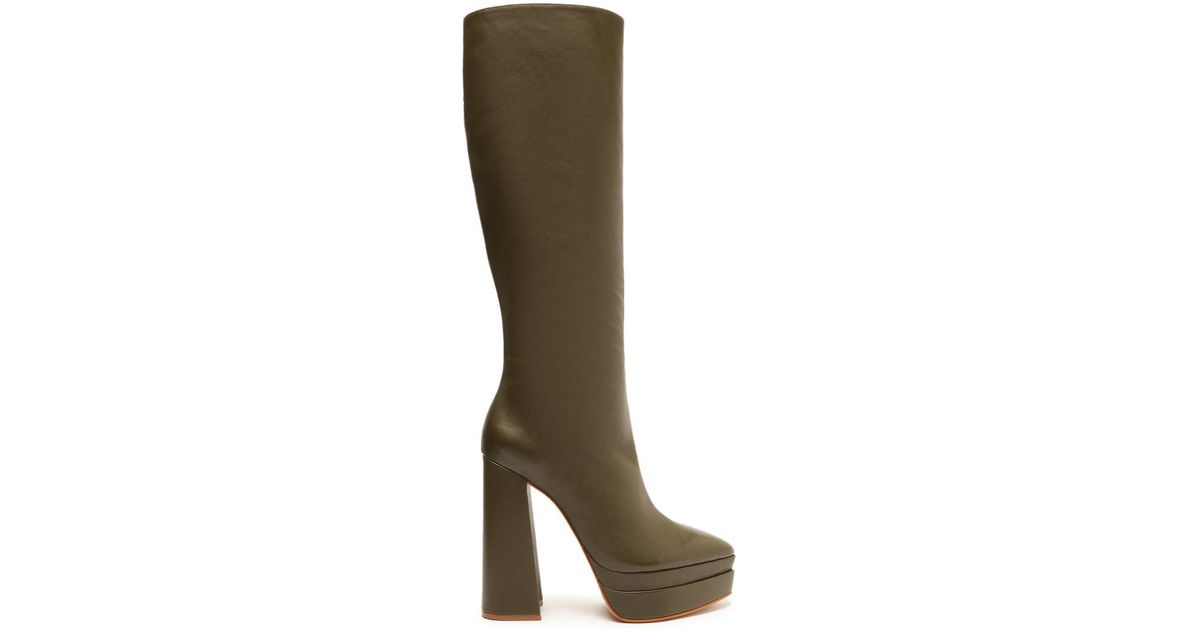 ariat firebird boots