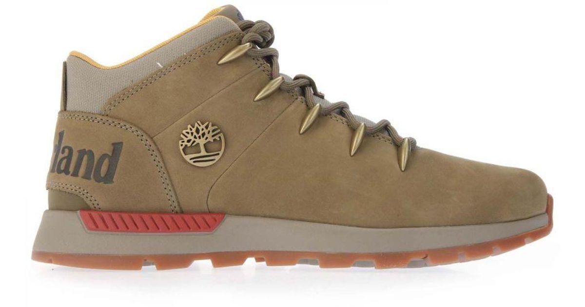 Mens olive 2024 timberland boots