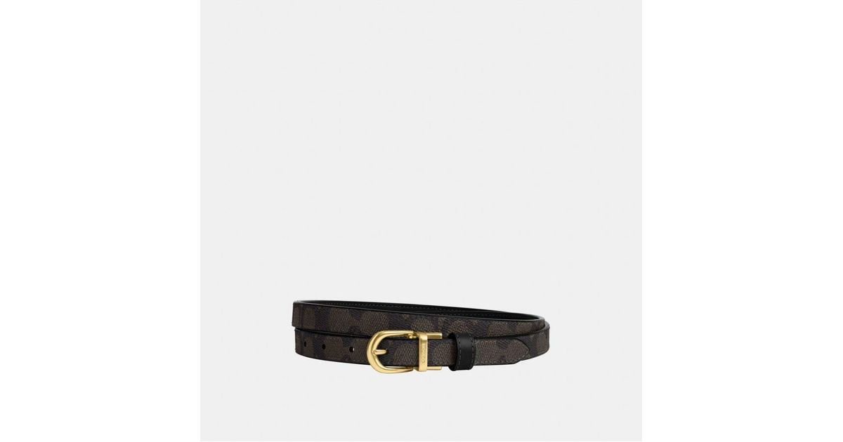 coach 18mm belt