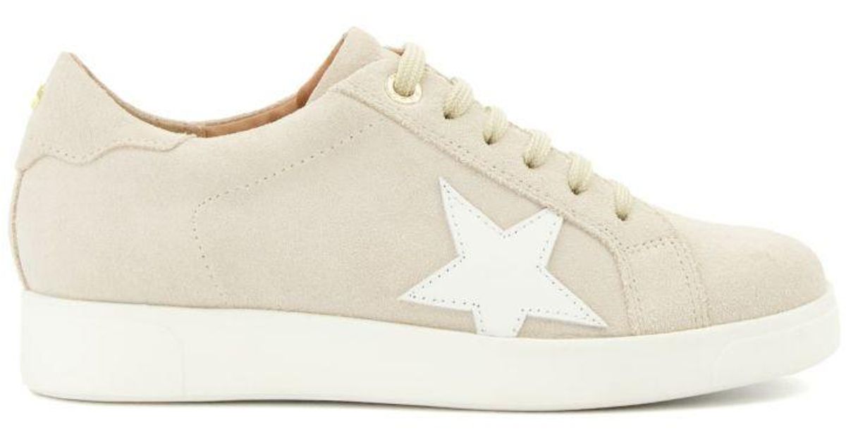 Edris trainers shop