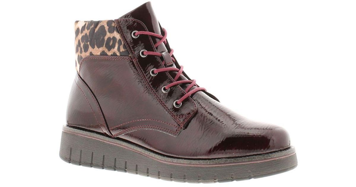 Marco Tozzi Boots Ankle Mollie Lace Up Bordeaux Patent in Brown