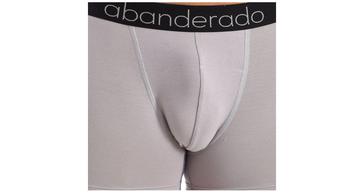 Abanderado Pack2 Boxers Sensitive Bamboo A0C7M in Grey for Men Lyst UK