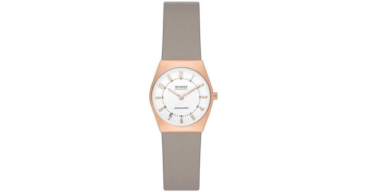 Skagen tr cheap