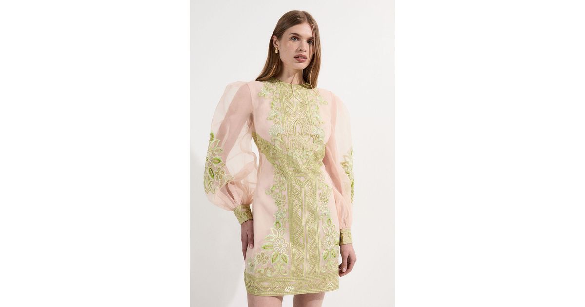 Karen Millen Petite Embroidered Organdie Balloon Woven Mini Dress in  Natural | Lyst UK