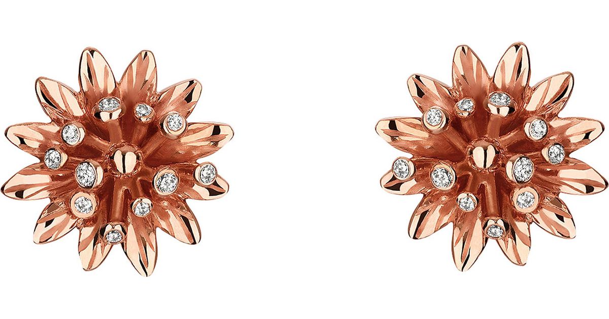 gucci rose gold earrings