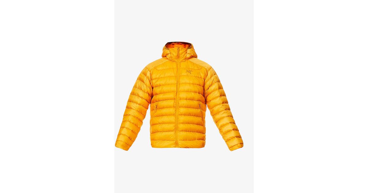 Arc'teryx Cerium Lt Padded Hooded Shell-down Jacket in Yellow for