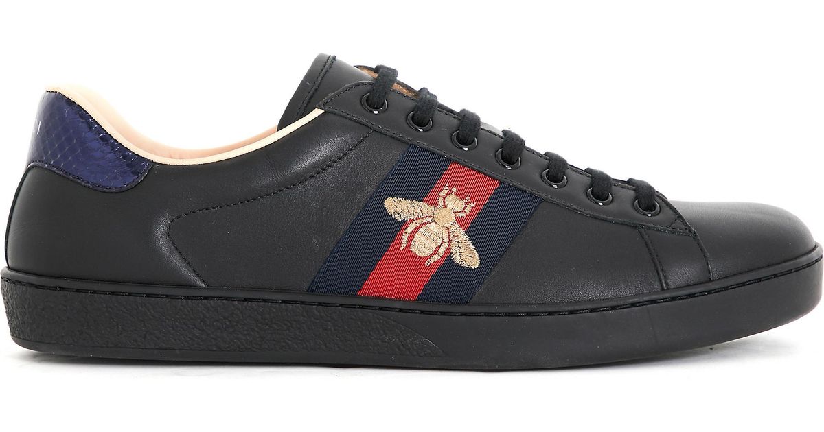 ace bee trainers