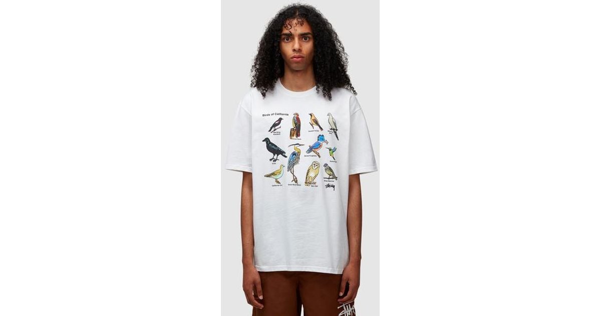 Stussy California Birds T-shirt in White for Men | Lyst Australia