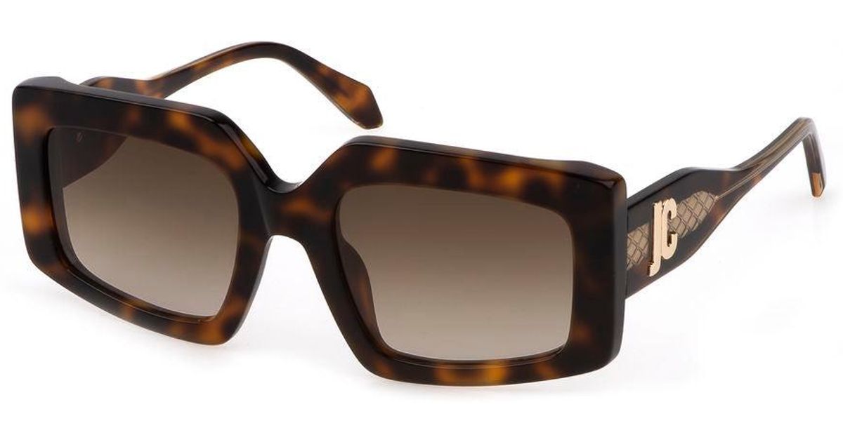 Just Cavalli Brown Acetate Sunglasses main image 1