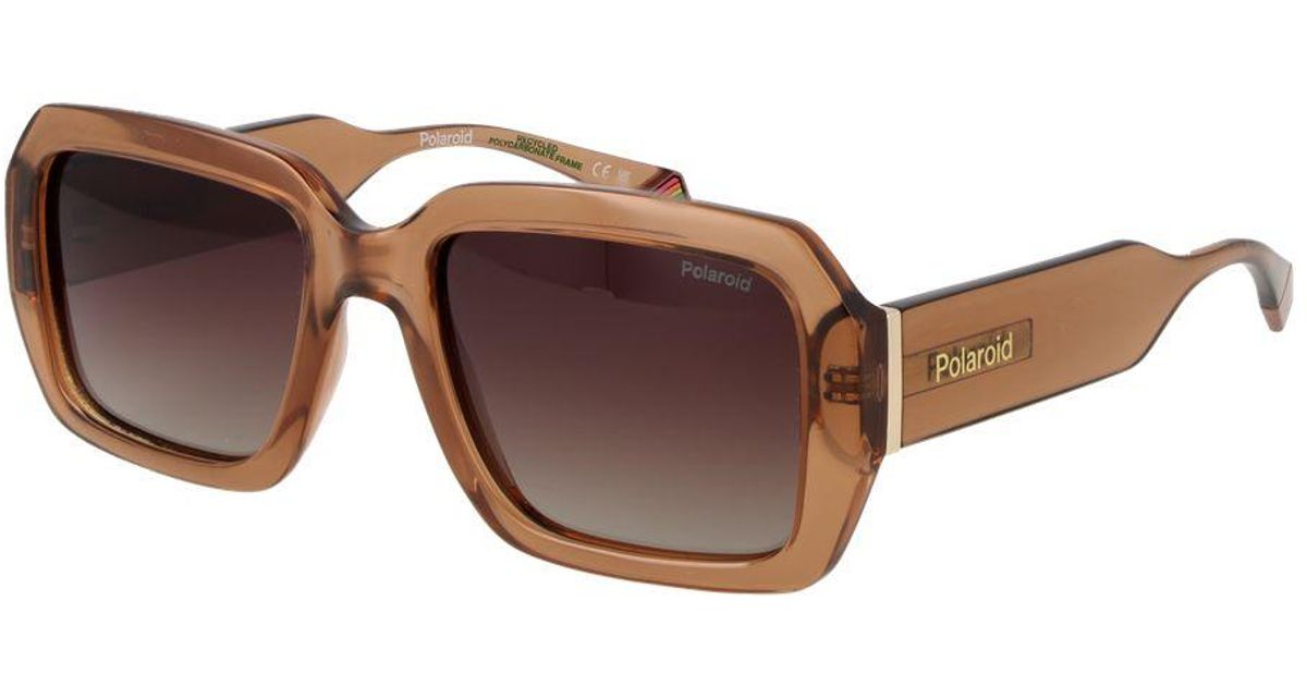 Polaroid Brown Plastic Sunglasses