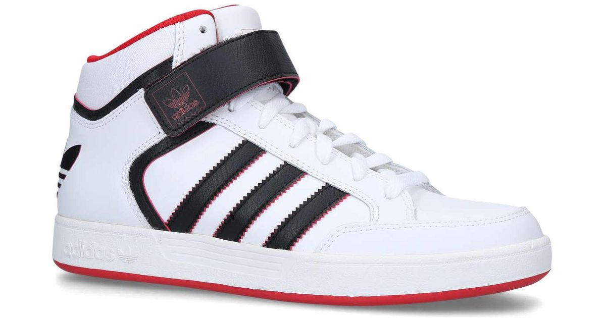 no heel sneakers