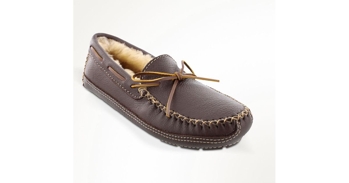 minnetonka moose