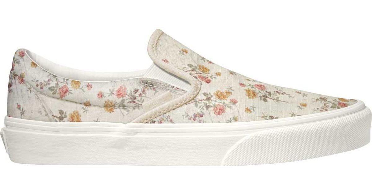 vans canva