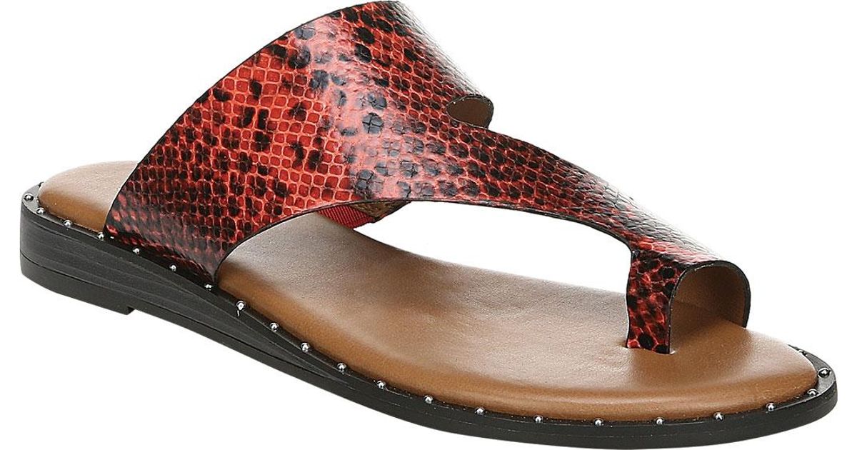 franco sarto ginny sandal leopard