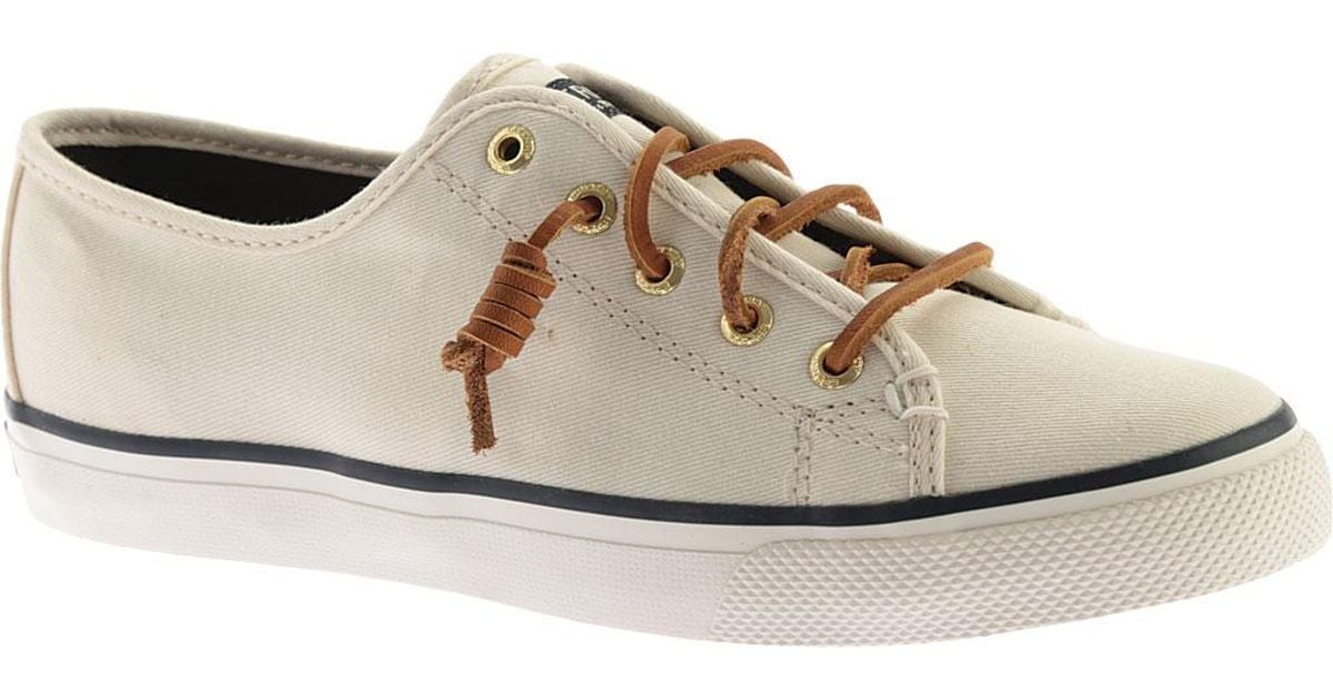 sperry seacoast canvas sneaker