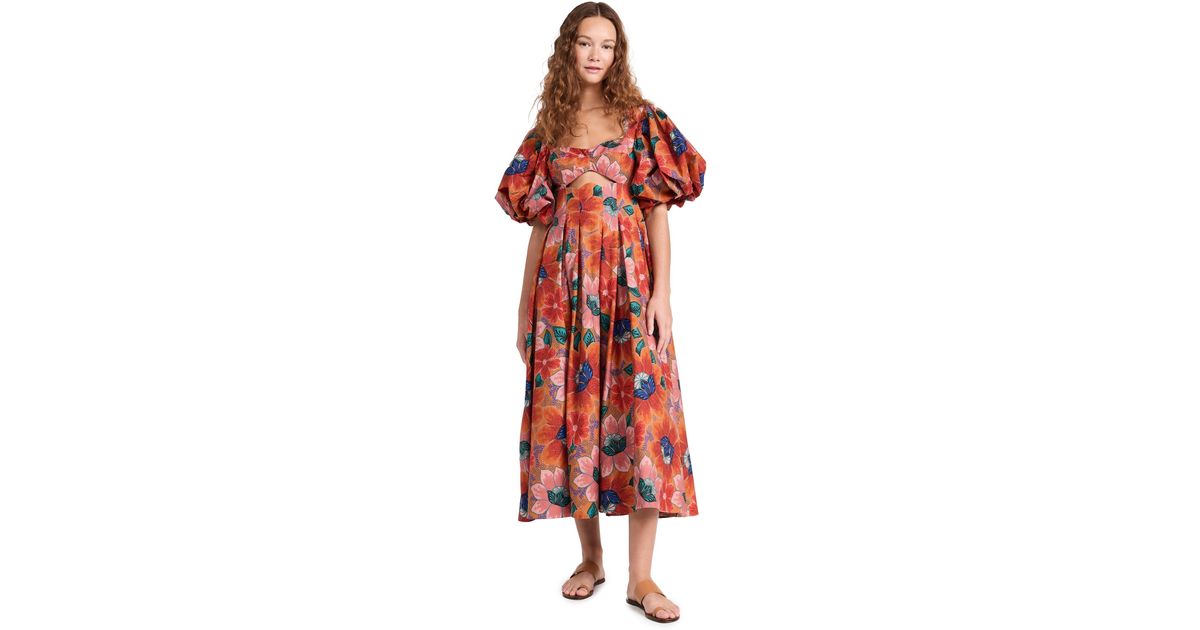 knee length dresses for ladies Maira Floral Dark Blue Midi Dress main image 0
