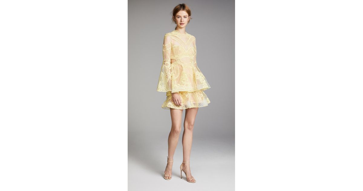 thurley chameleon mini dress