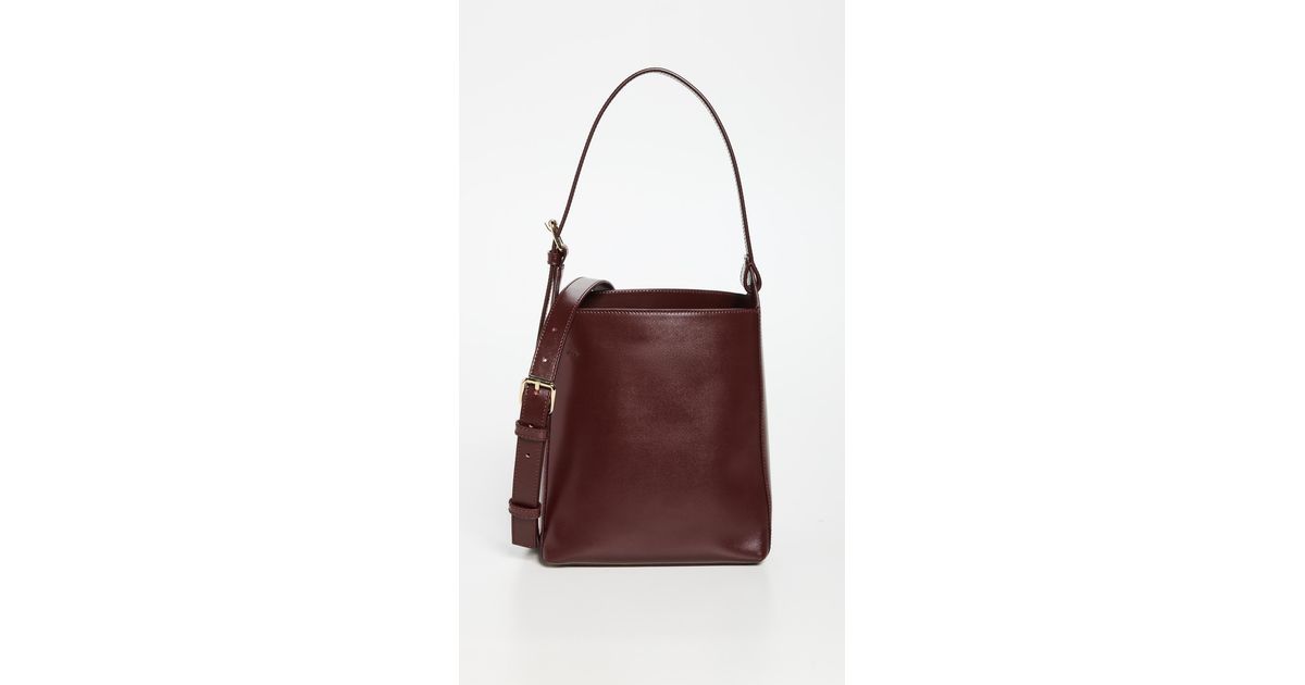 apc virginie