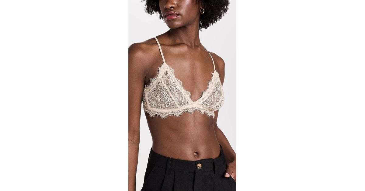 Anine Bing Lace Bra With Trim in Black