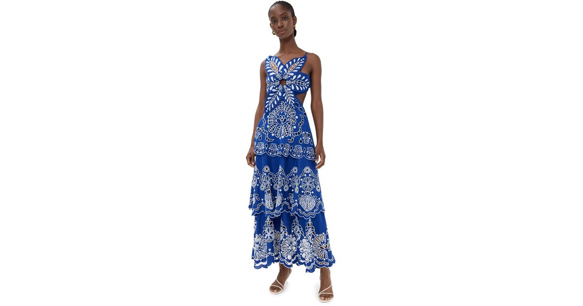 knee length dresses for ladies Farm Rio Women's Richelieu Maxi Dress – Saint Bernard main image 1