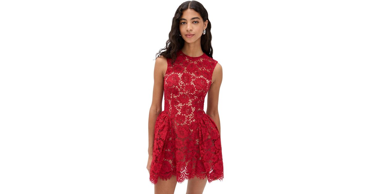 knee length dresses for ladies Burgundy floral lace mini dress – Daniello.com main image 0