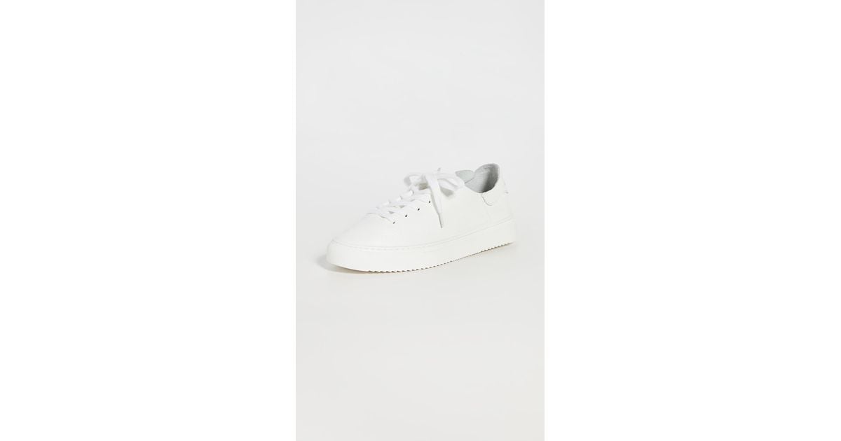 Sam Edelman Poppy Sneakers in White | Lyst