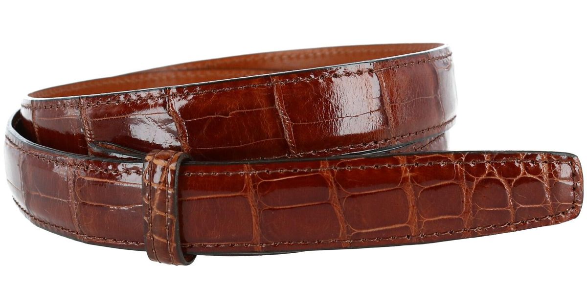 Trafalgar Genuine Alligator 25mm Compression Belt Strap in Brown for