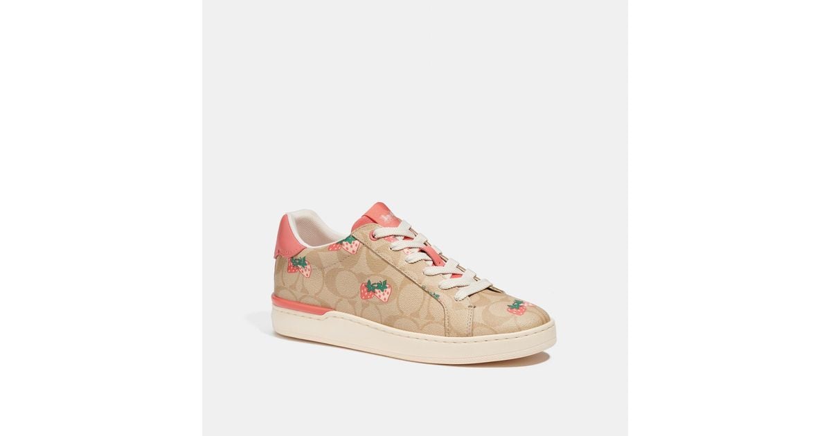 Coach Outlet Canvas Clip Low Top Sneaker With Strawberry Print in Pink