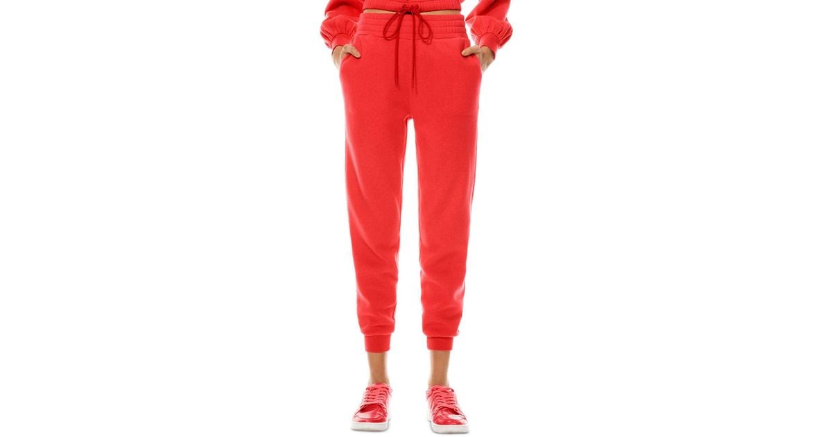 Alice and olivia jogger pants hotsell